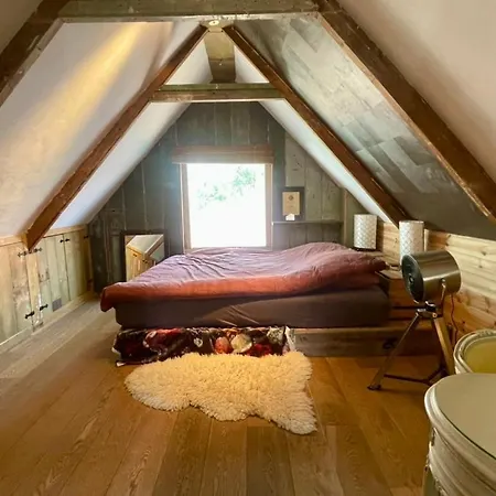 Casa vacanze Old Wooden Zaan House