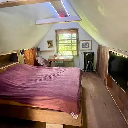 Old Wooden Zaan House Casa vacanze *