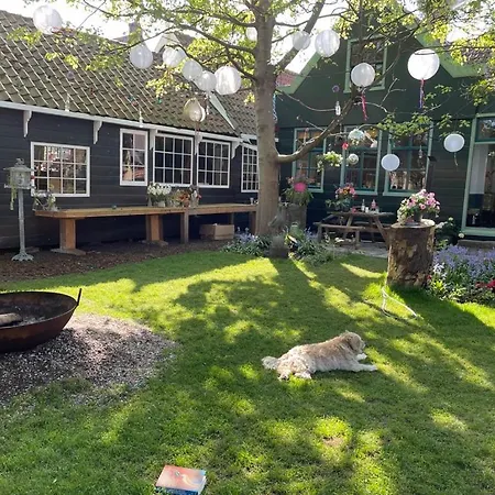Old Wooden Zaan House Casa vacanze
